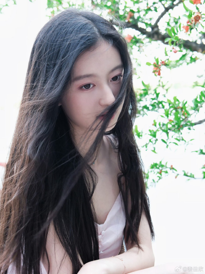 解剖大师 封面