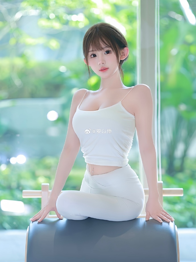 继承之战